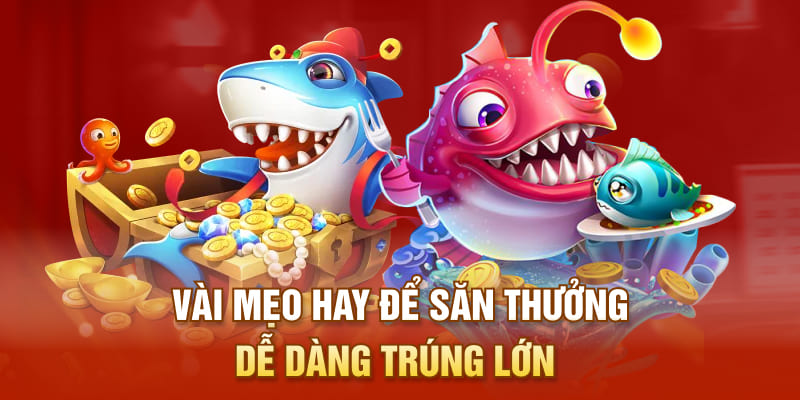 Vài mẹo hay để săn thưởng dễ dàng trúng lớn