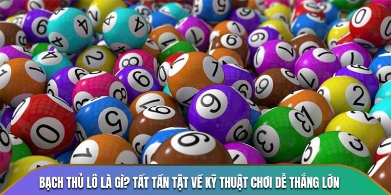 bạch thủ lô là gì