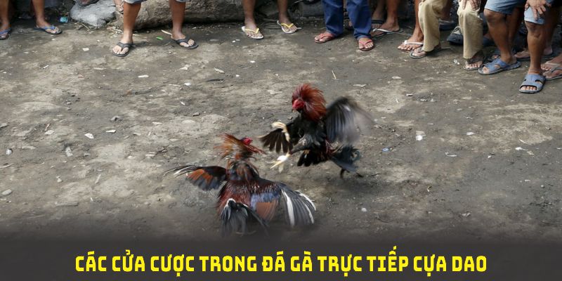Tìm hiểu các cửa cược trong đá gà trực tiếp cựa dao và lựa chọn cửa cược phù hợp.
