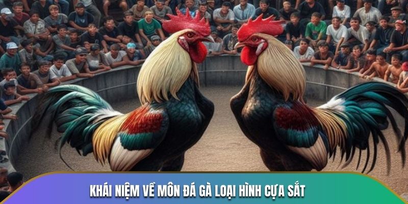 Khái niệm về môn đá gà loại hình cựa sắt