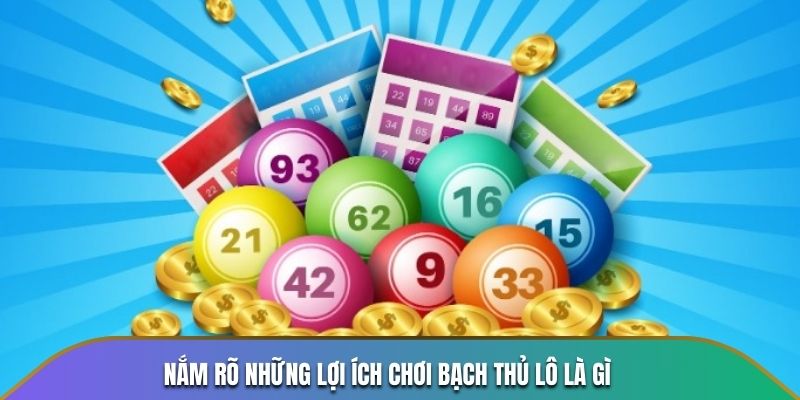 Nắm rõ những lợi ích chơi bạch thủ lô là gì