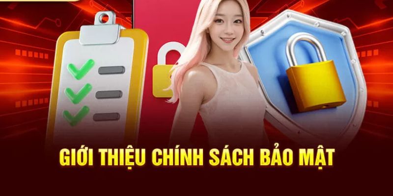 Chính sách bảo mật - Giới thiệu khái quát và cơ bản thông tin quan trọng